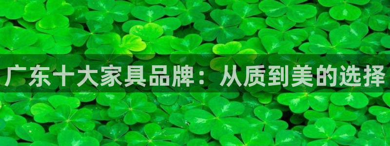 球盟会中国网页登录