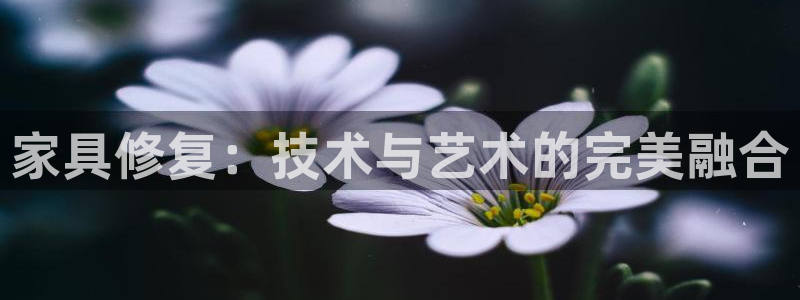 球盟会体育app官方网站