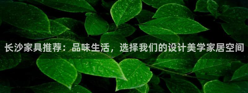 球盟会qmh网页版登录 - qm球盟会官方网站