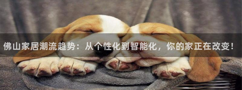 球盟会优惠领取网站