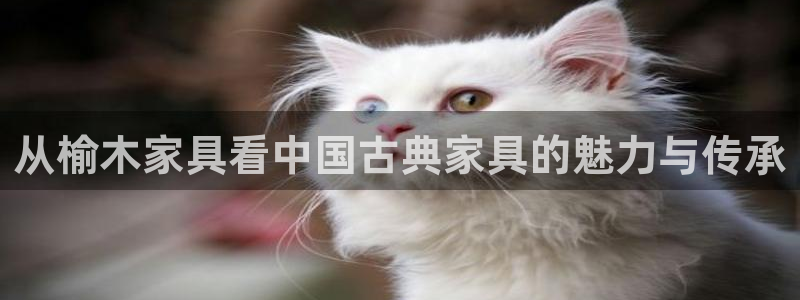 球盟会用的客服聊天是哪个软件