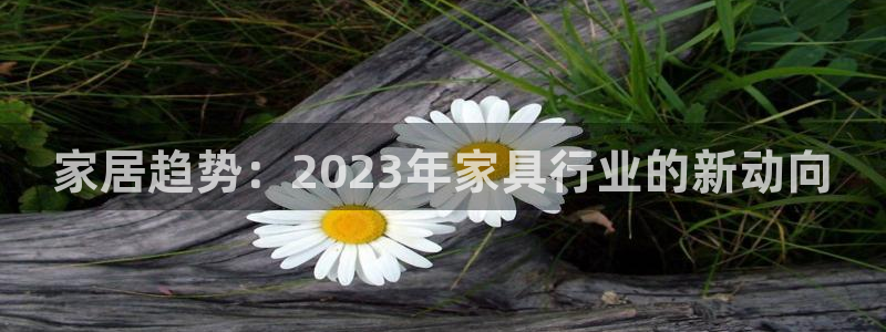 球盟会官方app首页入口：家居趋势：2023年家具行业的新动