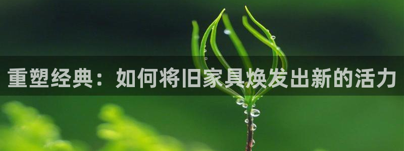 球盟会综合体育平台怎么样