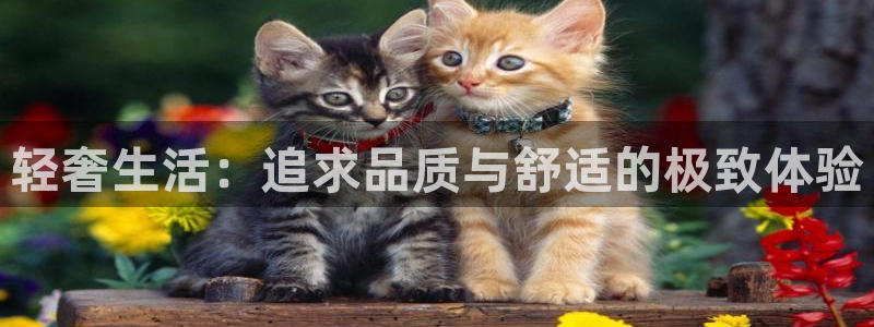 球盟会网页版登陆
