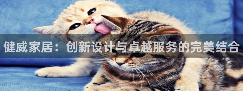 球盟会网页登录