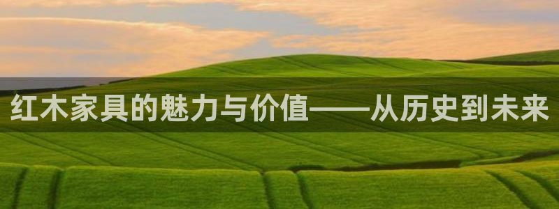 球盟会里面有打牌的嘛