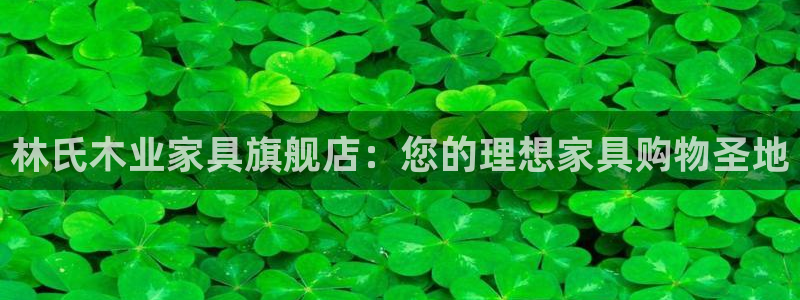 球盟会能提现吗是真的吗