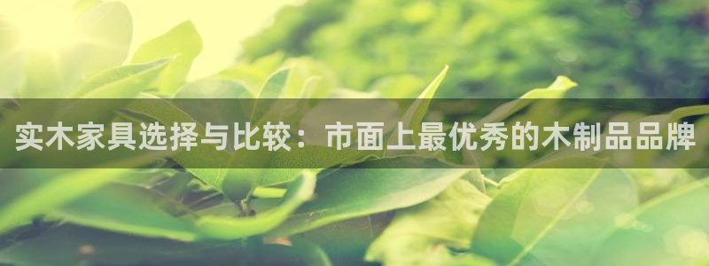 球盟会游戏几点玩合适
