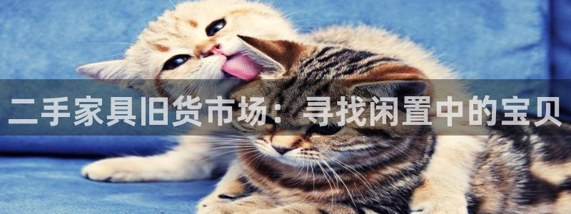 球盟会官方最新入口