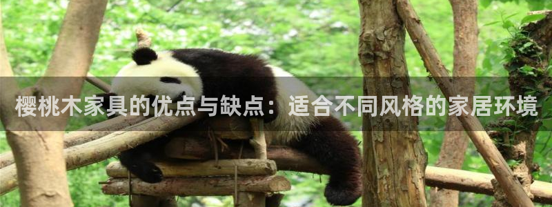 球盟会最新活动：樱桃木家具的优点与缺点：适合不同风格的家居环