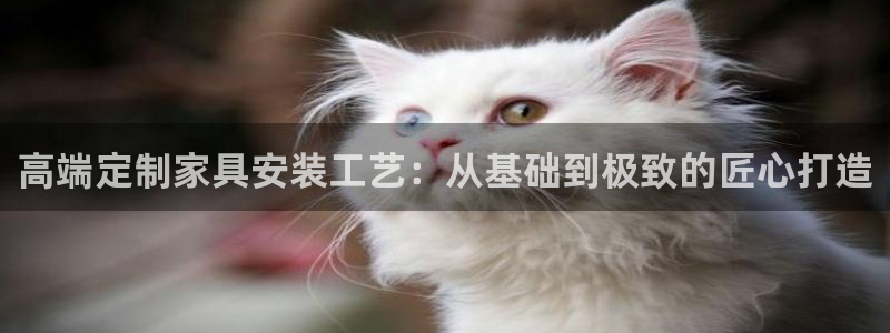 球盟会官方平台入口