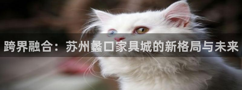 球盟会黑台子吗